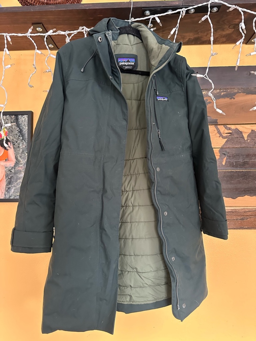 Patagonia Dark Green Hooded Parka with Olive Lining